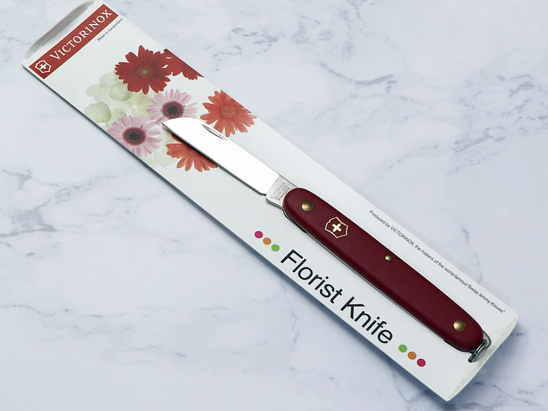 ӥȥΥå֥եꥹȥʥաåɡסʥȥ졼ȡ