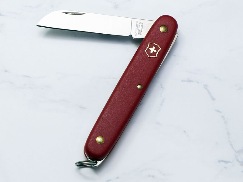 ӥȥΥå֥եꥹȥʥաåɡסʥȥ졼ȡ