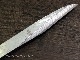 ʪήꥸʥڽоᡡNo.20