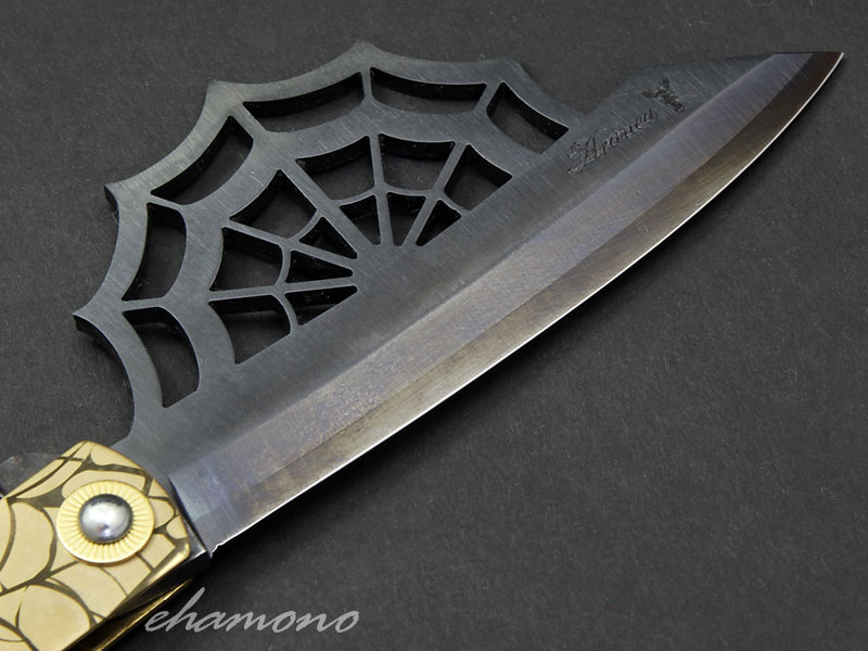 Ͷ  Aranea ͥƥɡ֥å