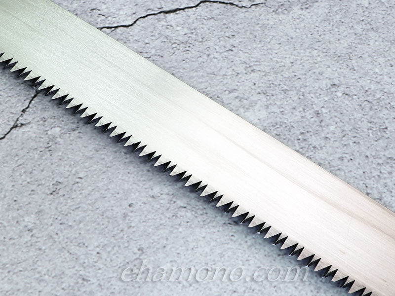 �ں�����ơ��Ĺݡ�����6��180���Τ����������å�