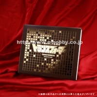 Բġۡںηꡪƥȥ󥹥եޡ ɥХʥڥ륫2°