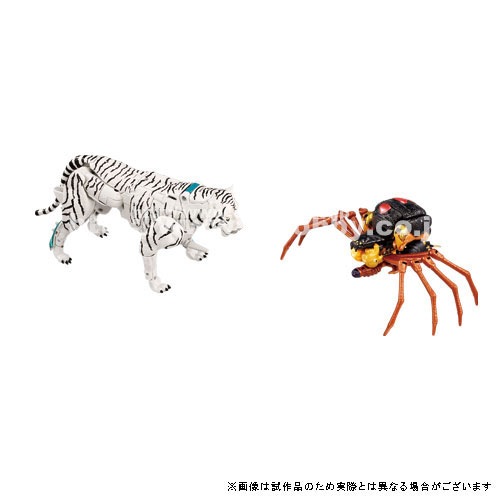 �ȥ�󥹥ե����ޡ���BWVS-04 ��ǰ���з�