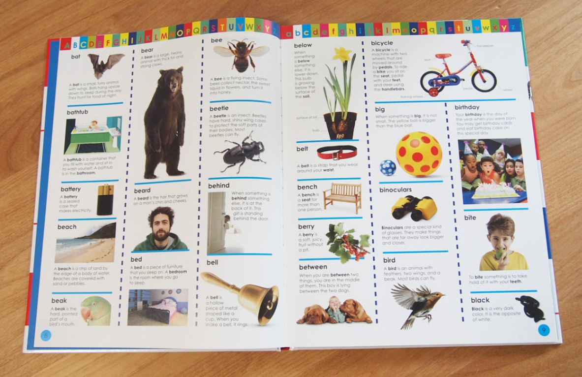 My First Discoveries 英語絵本 Amazon.com: The Ladybird (8) (My First Discoveries