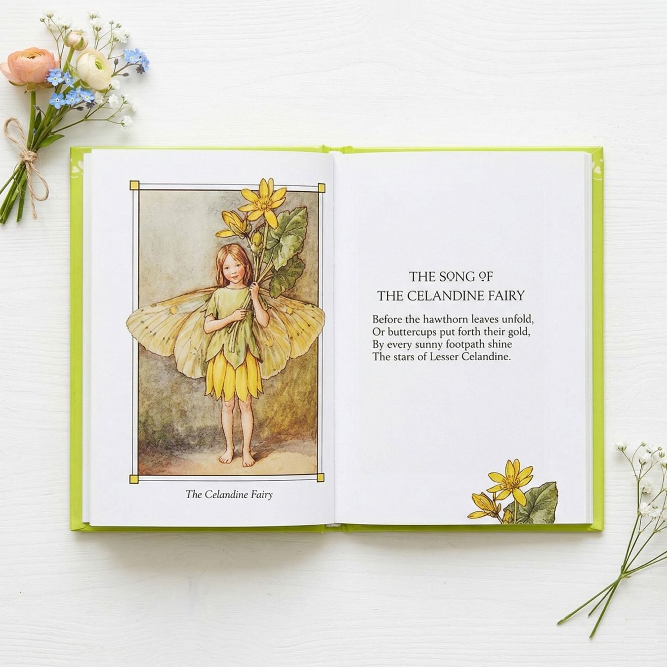 Flower Fairies of the Spring ～花の妖精たち 春～ 切り絵版