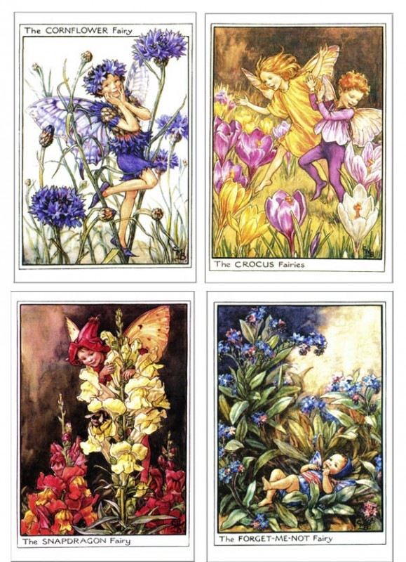 花の妖精 ポストカード スペシャルプライスセット 4枚入 すべての商品 洋書絵本 絵本の家オンラインショップ 花の妖精 ポストカード スペシャルプライスセット 4枚入 すべての商品 洋書絵本 絵本の家オンラインショップ