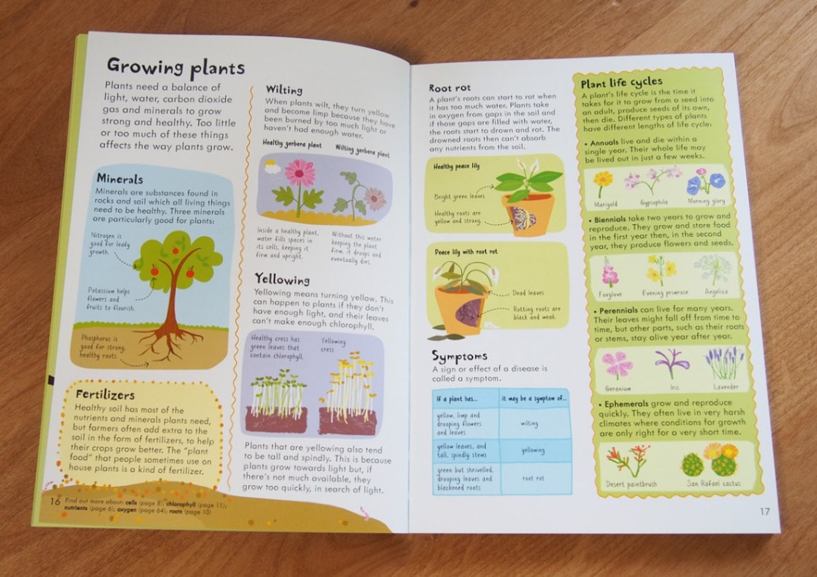 Usborne Junior Illustrated Science Dictionary ～ジュニア科学絵