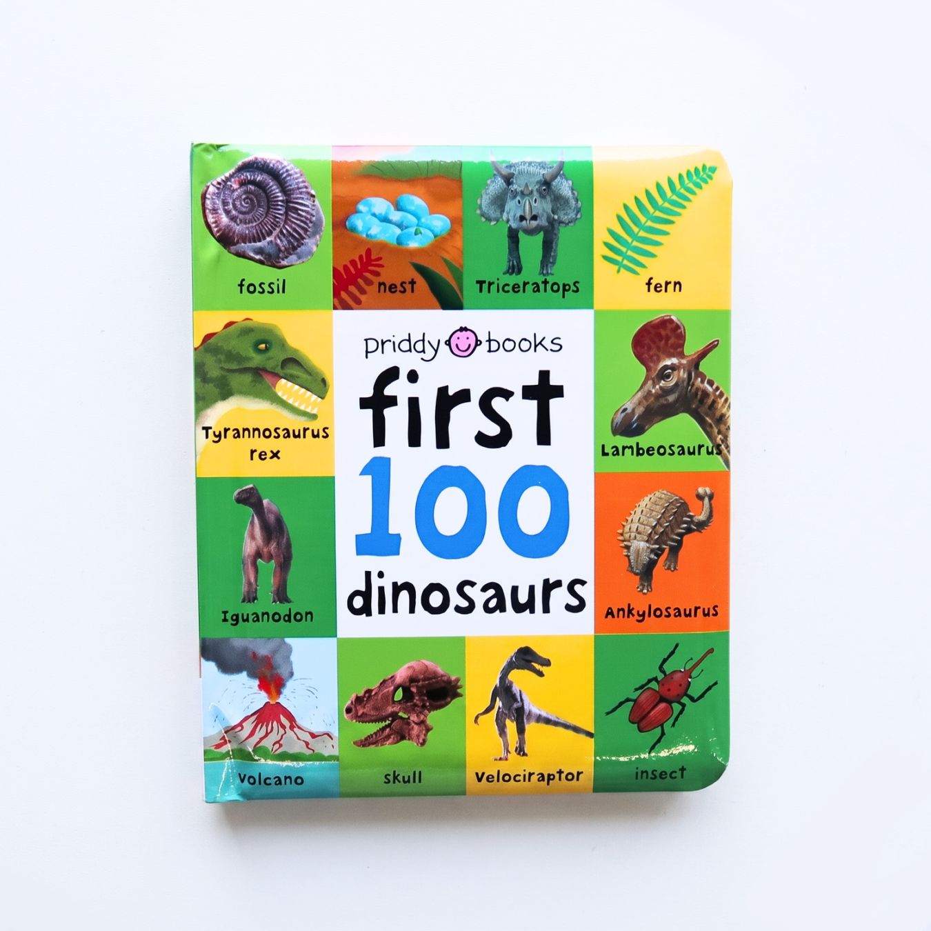 絵図鑑　First 100 Dinosaurs