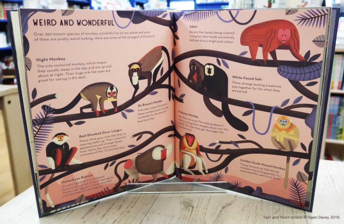 Mad About Monkeys ～サルってさいこう！～ | カテゴリーでさがす,英語