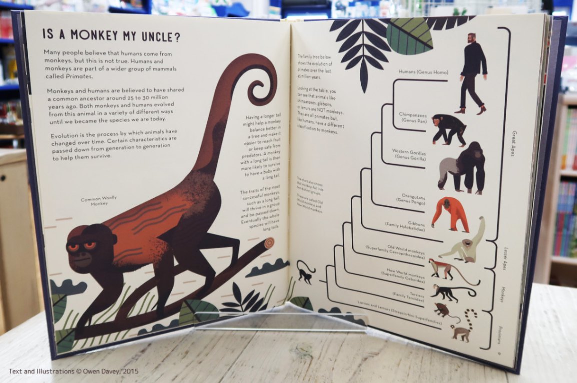 Mad About Monkeys ～サルってさいこう！～ | カテゴリーでさがす,英語