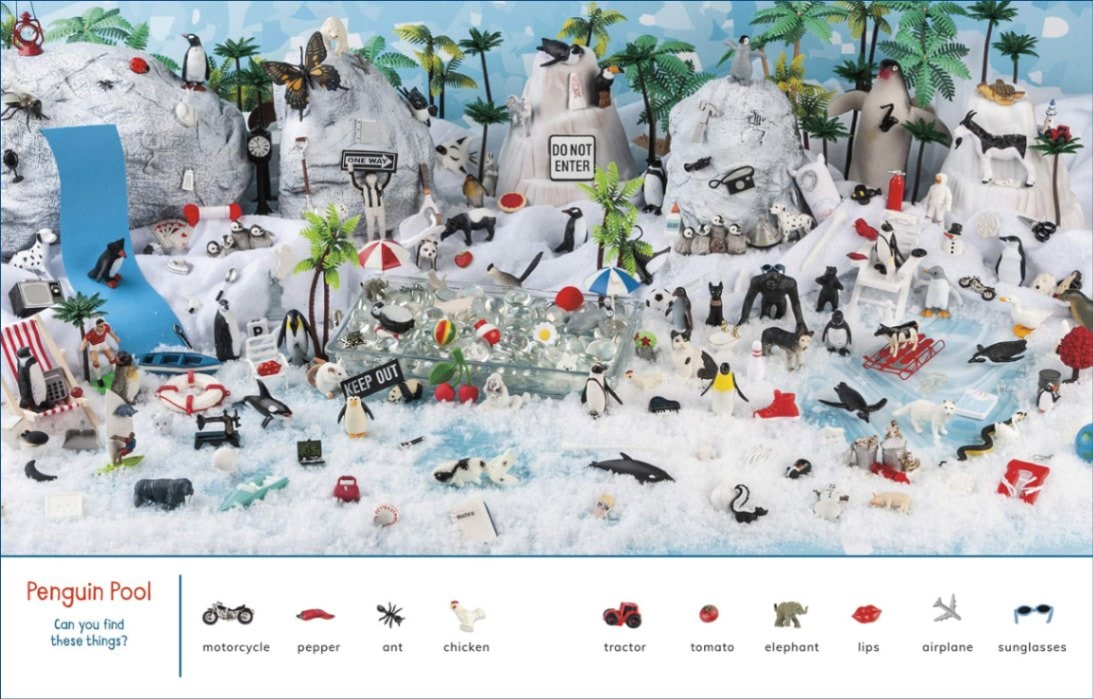 さがし絵本 Can You Find it? ～ The Zoo ペーパーバック版