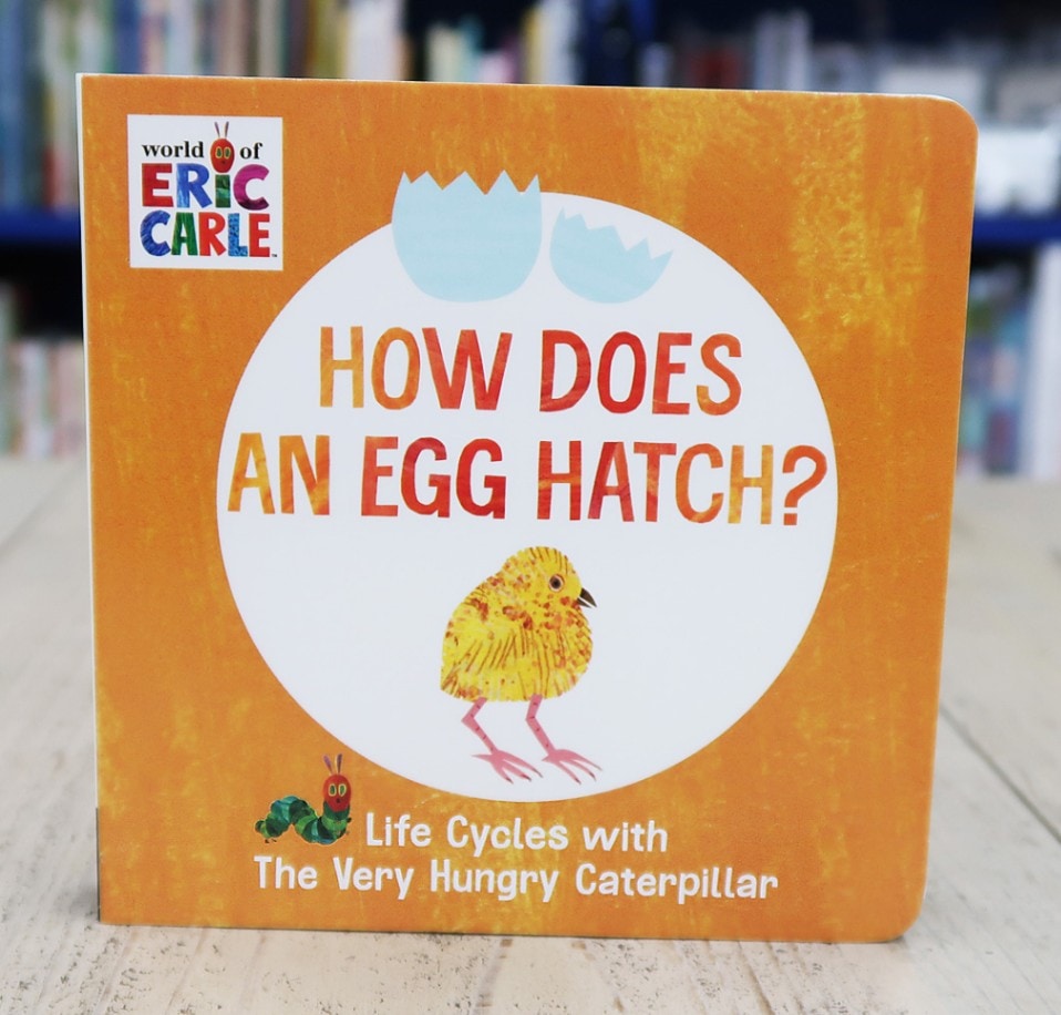 Life Cycle with Very Hungry Caterpillar: How Does an Egg Hatch?