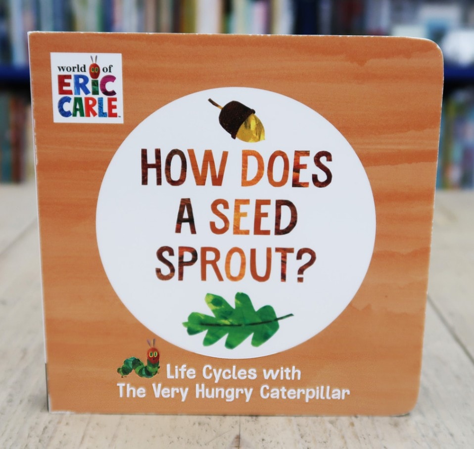 Life Cycle with Very Hungry Caterpillar: How Does a Seed Sprout?