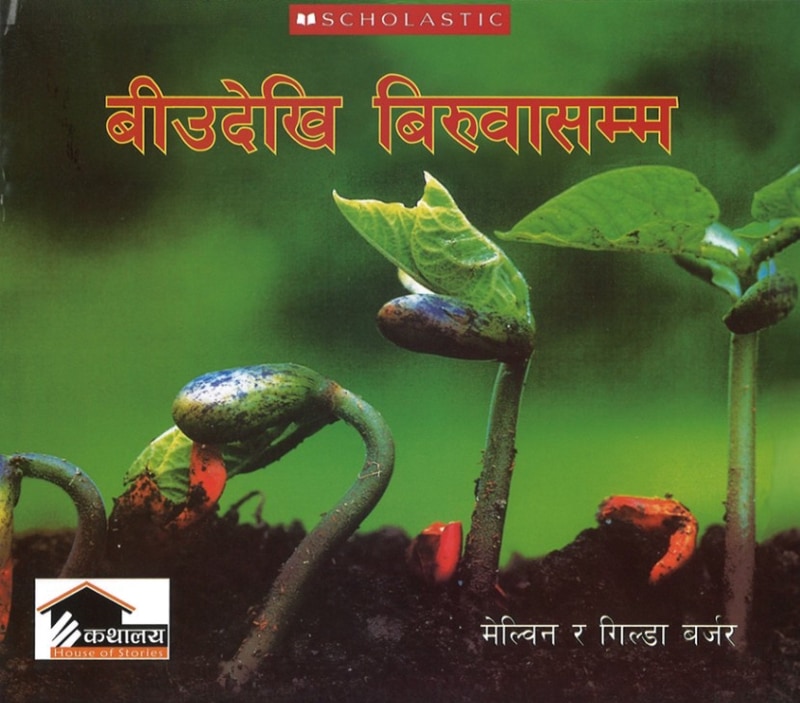 Seed to Plant���ͥѡ�����ǡ��ڡ��ѡ��Хå�