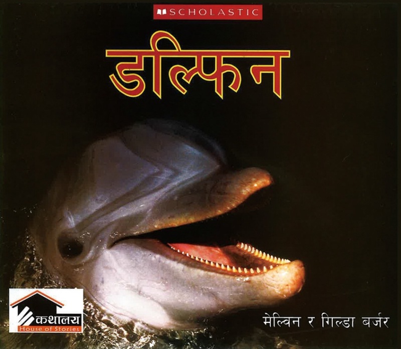 Dolphin���ͥѡ�����ǡ��ڡ��ѡ��Хå�