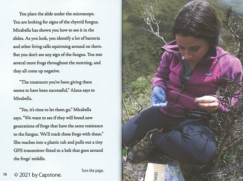 インタラクティブ英語本シリーズ エコアドベンチャー 全4巻セット