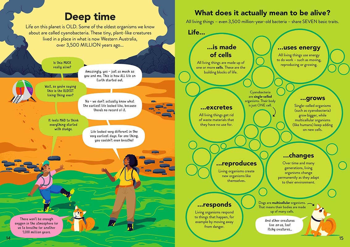 図解でわかる はじめての生態学～Ecology for Beginners | カテゴリー