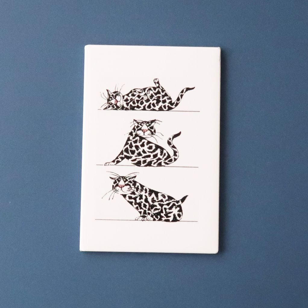 エドワード・ゴーリー｜洋書絵本 絵本の家オンラインショップ