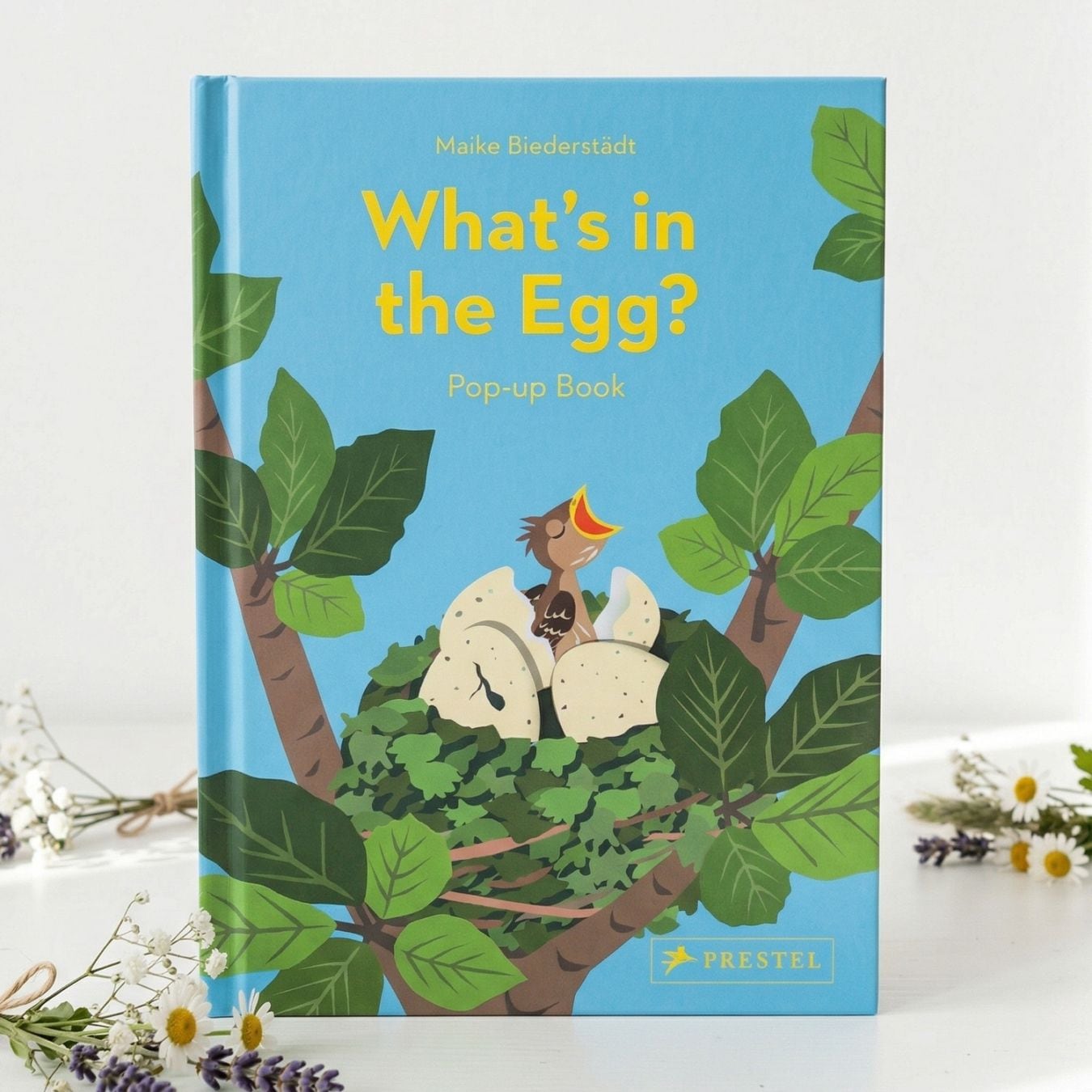 ポップアップしかけ絵本　What’s in the Egg?