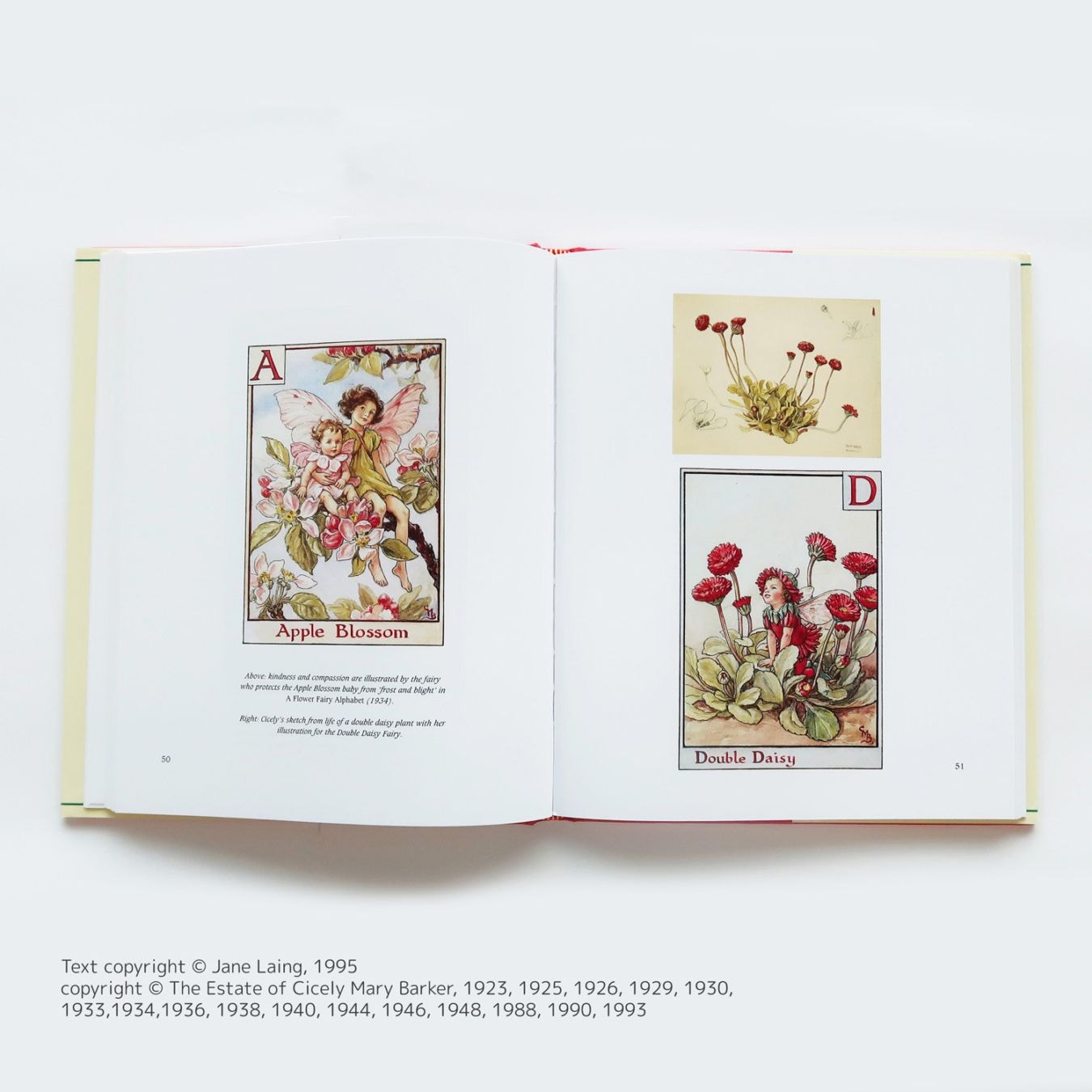 大特価！セール品】 Cicely Mary Barker and Her Art ～花の妖精