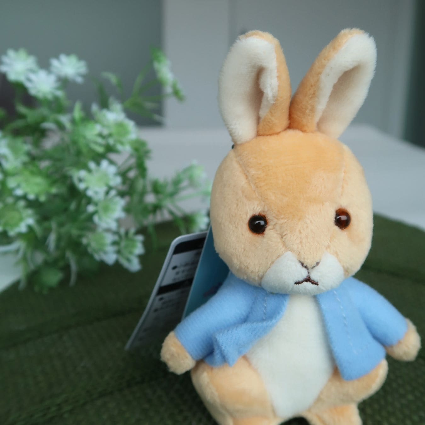 どの角度からもかわいい！！