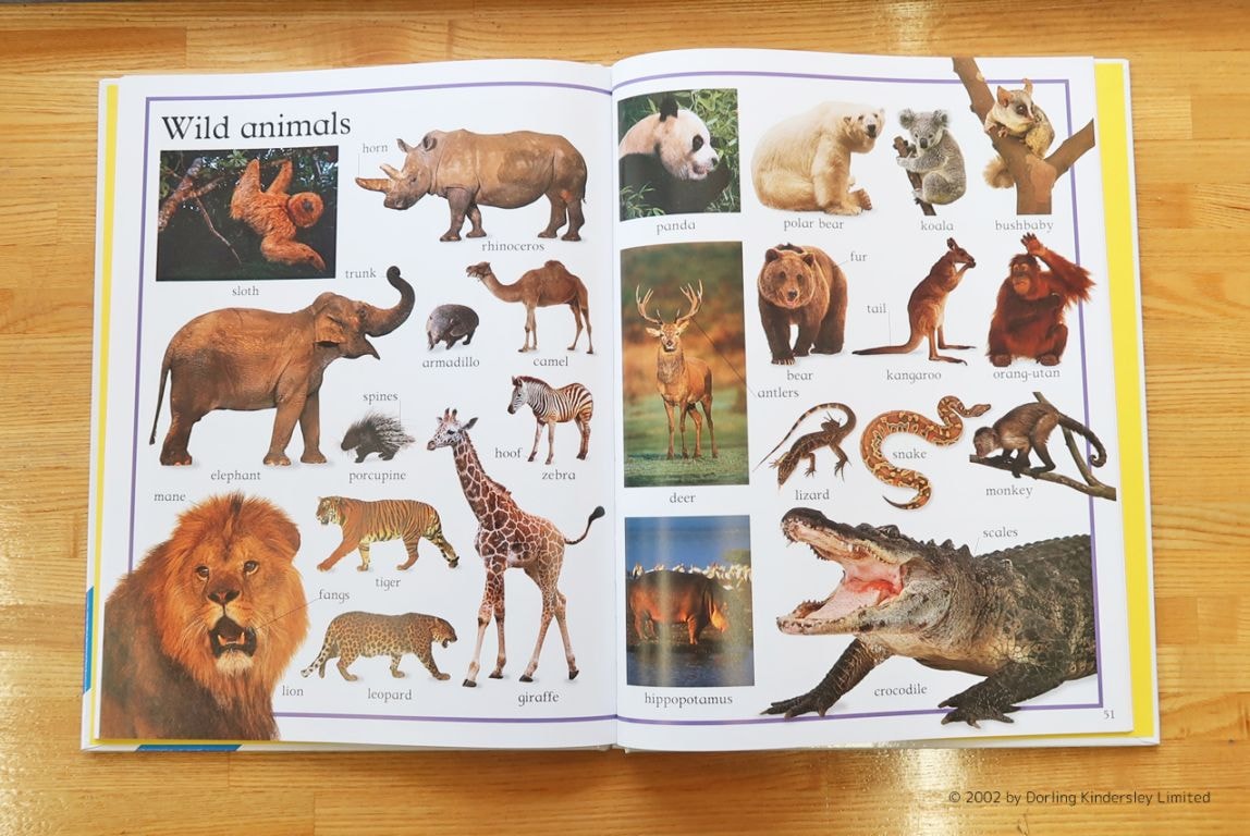 SING&SAY My First Word Book CDつき英語絵辞典 ＜NoBuYoung