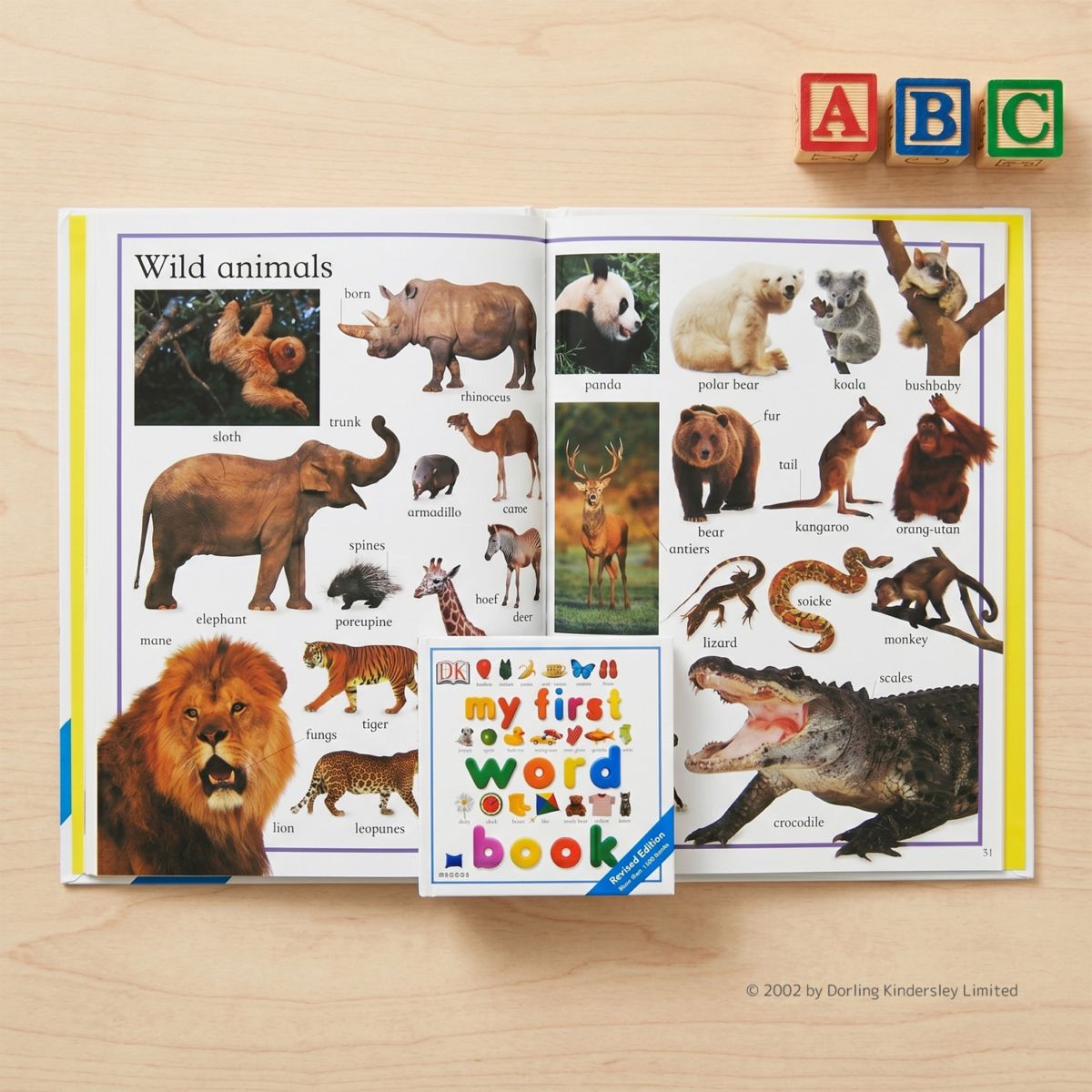 SING&SAY My First Word Book CDつき英語絵辞典 ＜NoBuYoung