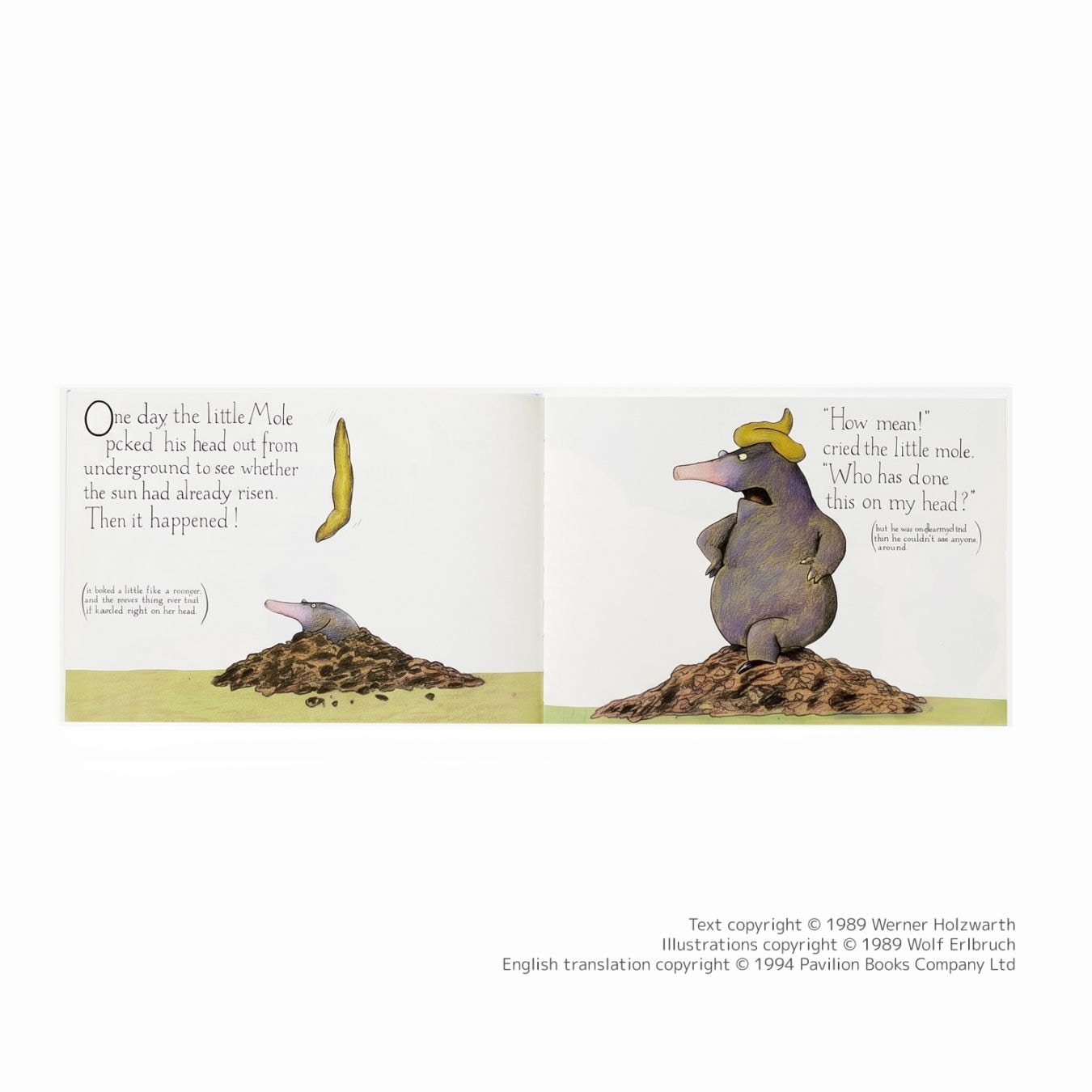 大特価！セール品】 SING&SAY The Story of the Little Mole CDつき