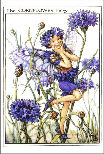 花の妖精 ポストカード やぐるま草 すべての商品 洋書絵本 絵本の家オンラインショップ