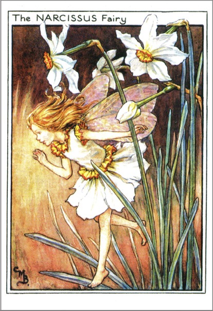 花の妖精 ポストカード すいせん すべての商品 洋書絵本 絵本の家オンラインショップ