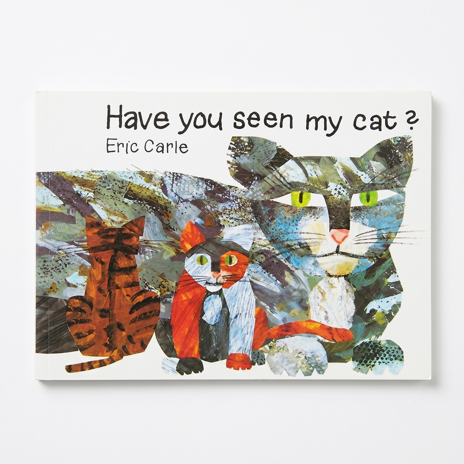 SING&SAY  Have You Seen My Cat? ＣＤつき絵本 ＜NoBuYoung＞ 【レベル２】