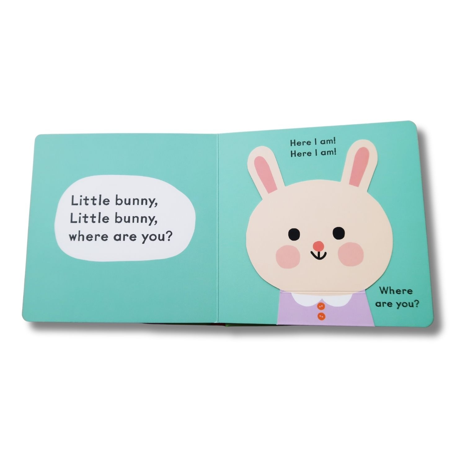 めくりしかけ絵本　Baby Faces: Little Bunny, Where Are You?