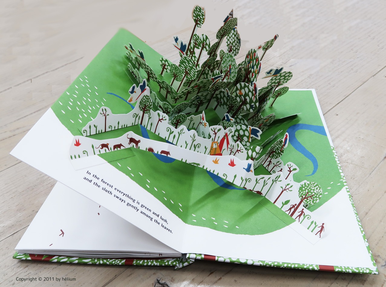 ポップアップしかけ絵本　Wake Up Sloth!