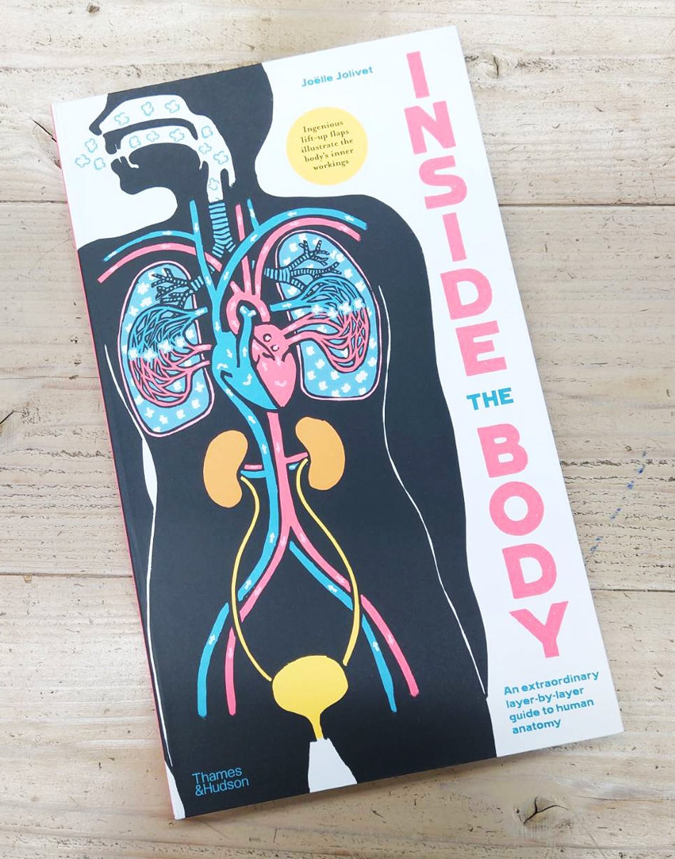 しかけ絵本　Inside The Body