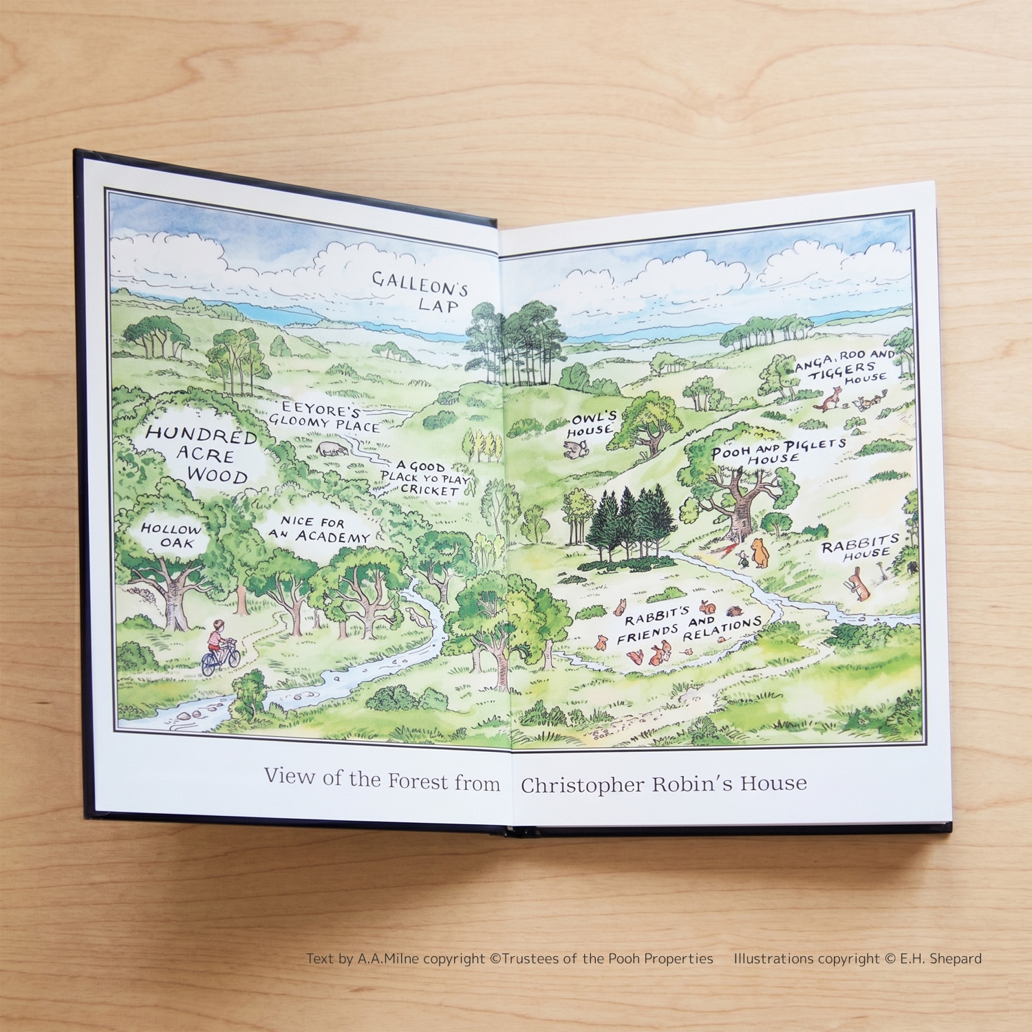 Winnie-the -Pooh　Return to the Hundred Acre Wood　～プーさんの森にかえる～