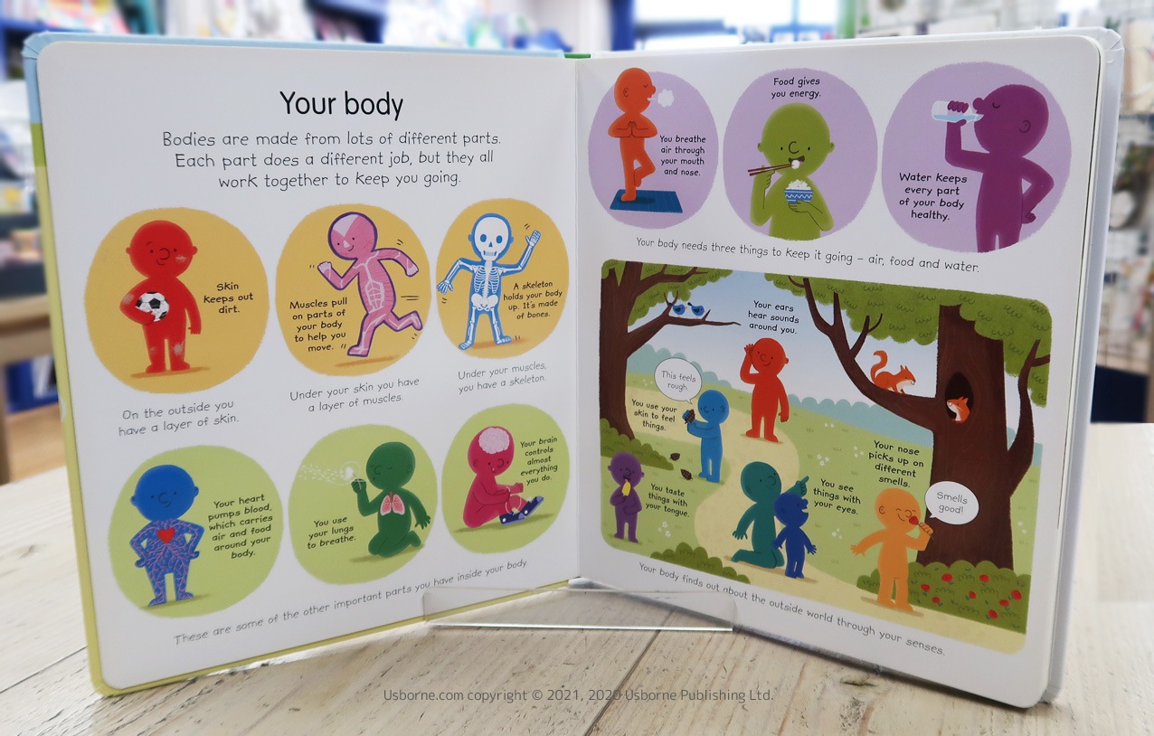 My First Science Book はじめての科学えほん | カテゴリーでさがす