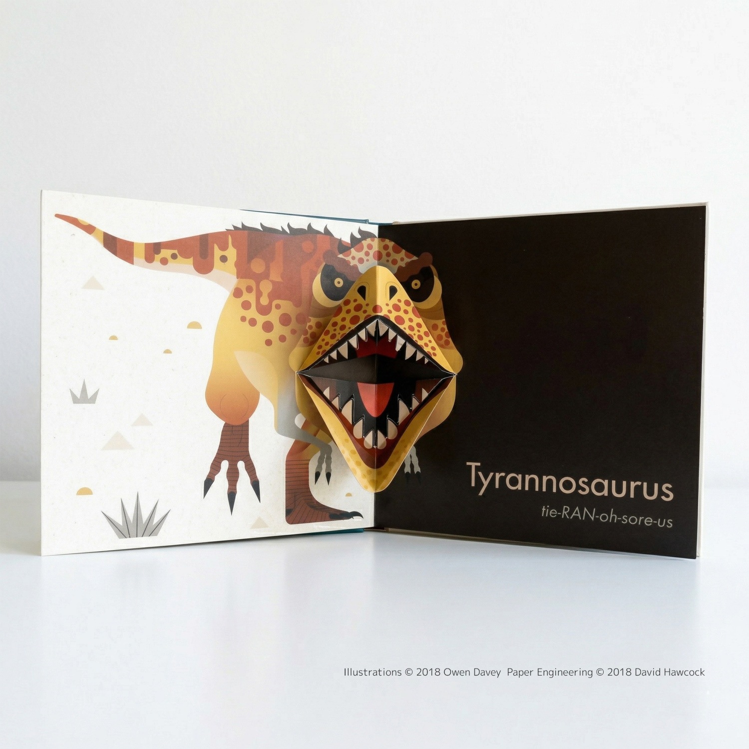 ポップアップしかけえほん　My First Pop Up Dinosaurs