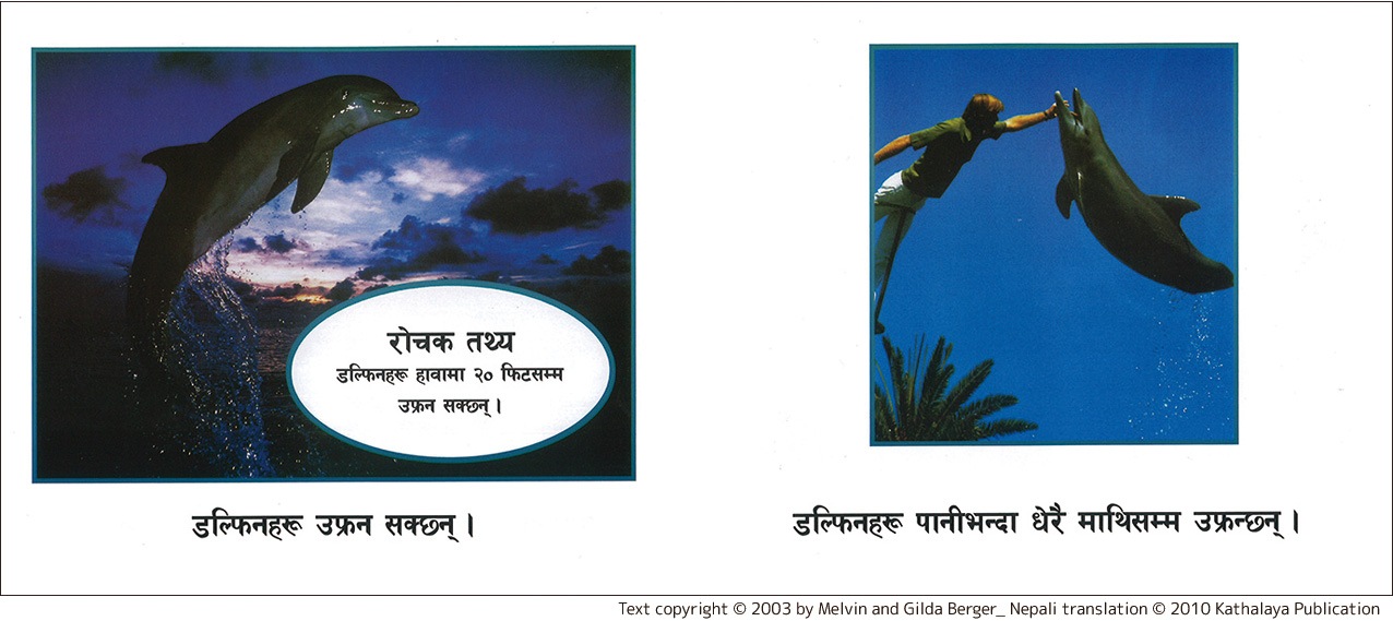 Dolphin　ネパール語版　ペーパーバック