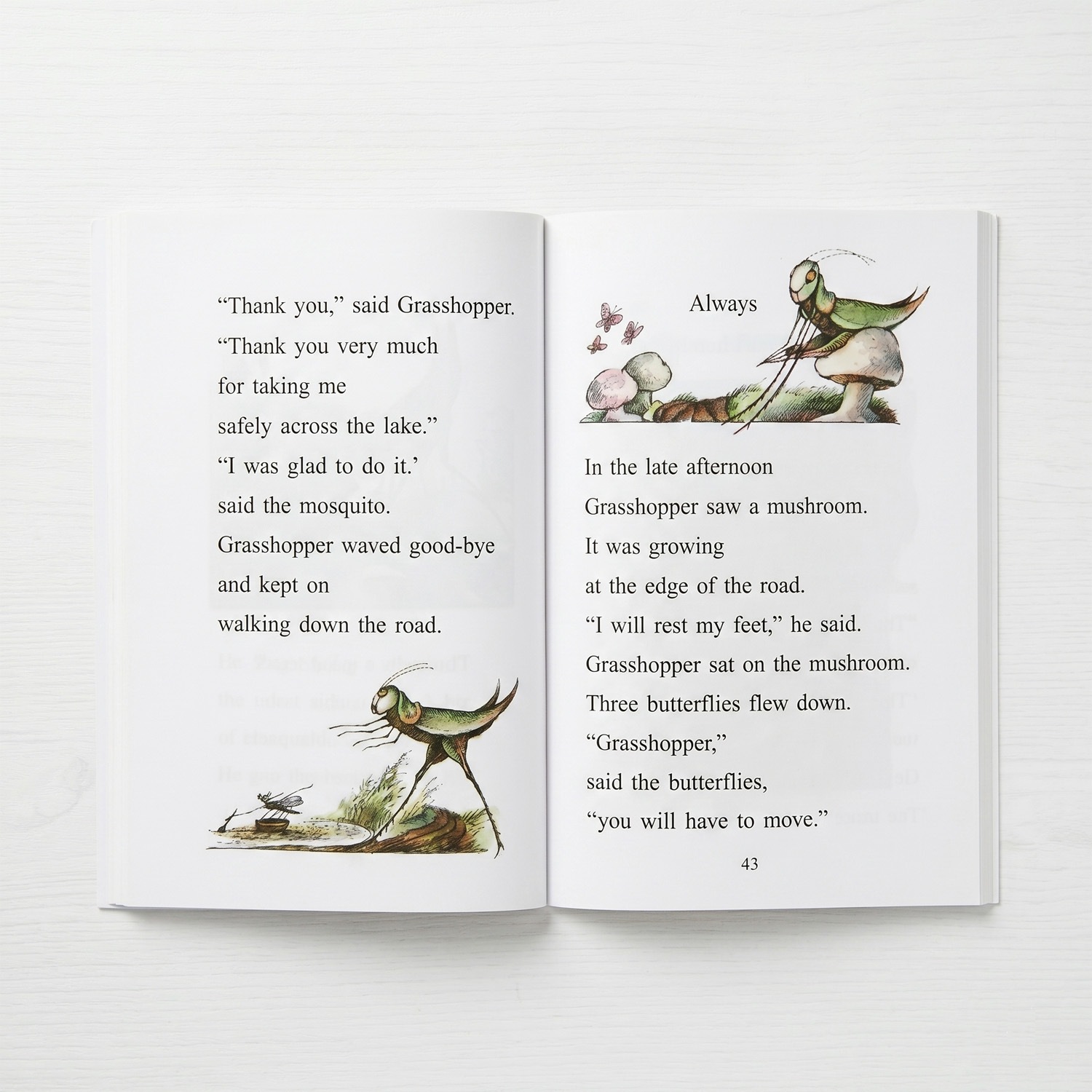 大特価！セール品】Grasshopper on the Road ～きりぎりすくん