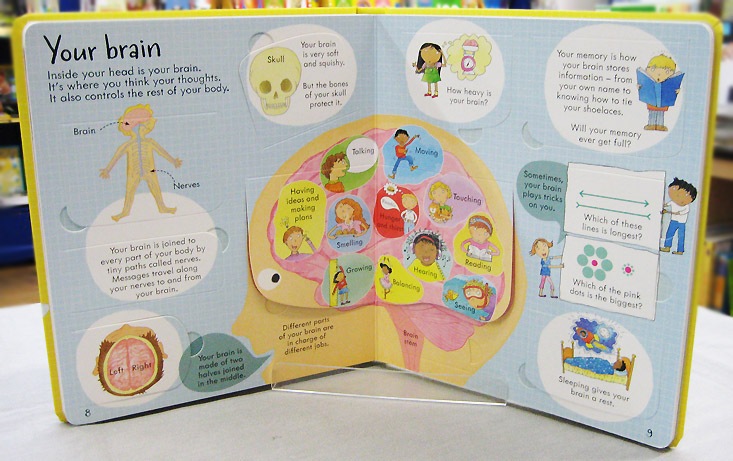 めくりしかけ絵本　のぞいてみよう！体のしくみ