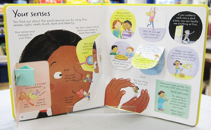 めくりしかけ絵本　のぞいてみよう！体のしくみ