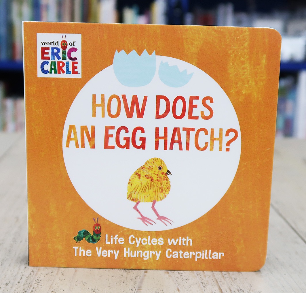Life Cycle with Very Hungry Caterpillar: How Does an Egg Hatch?
