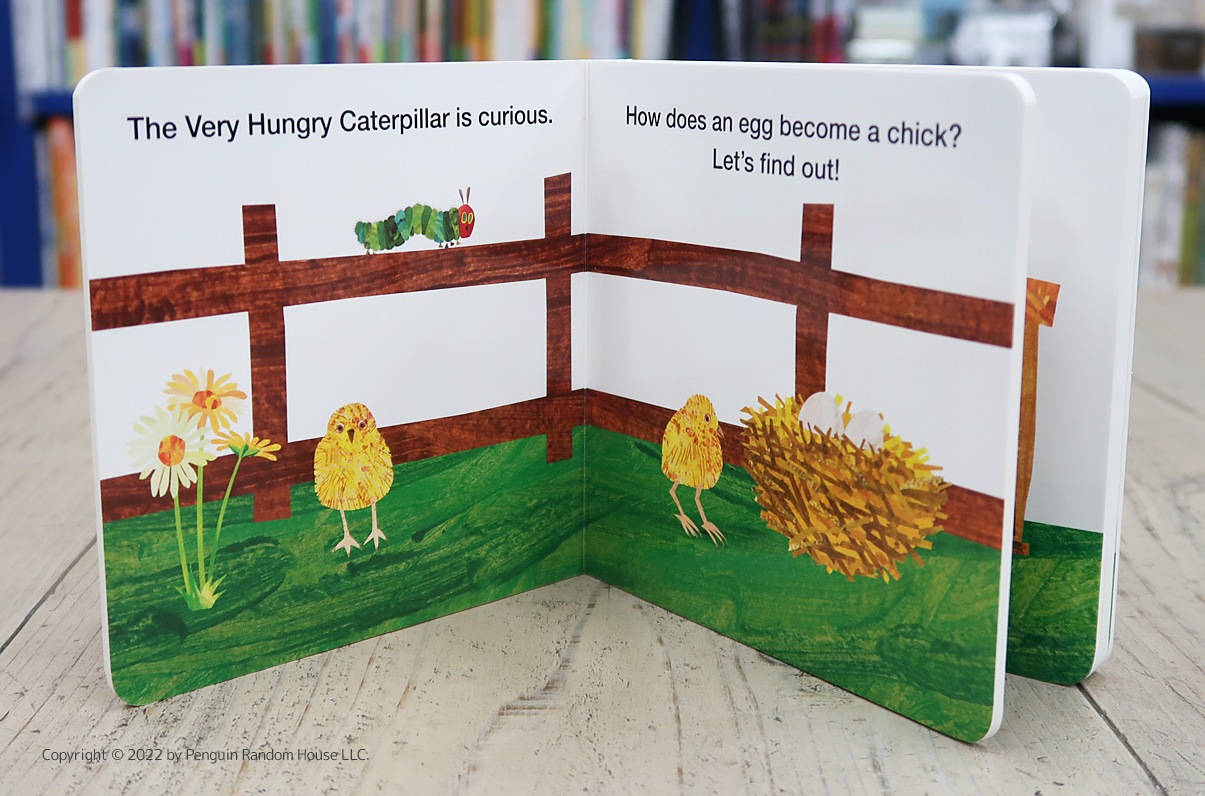 Life Cycle with Very Hungry Caterpillar: How Does an Egg Hatch?