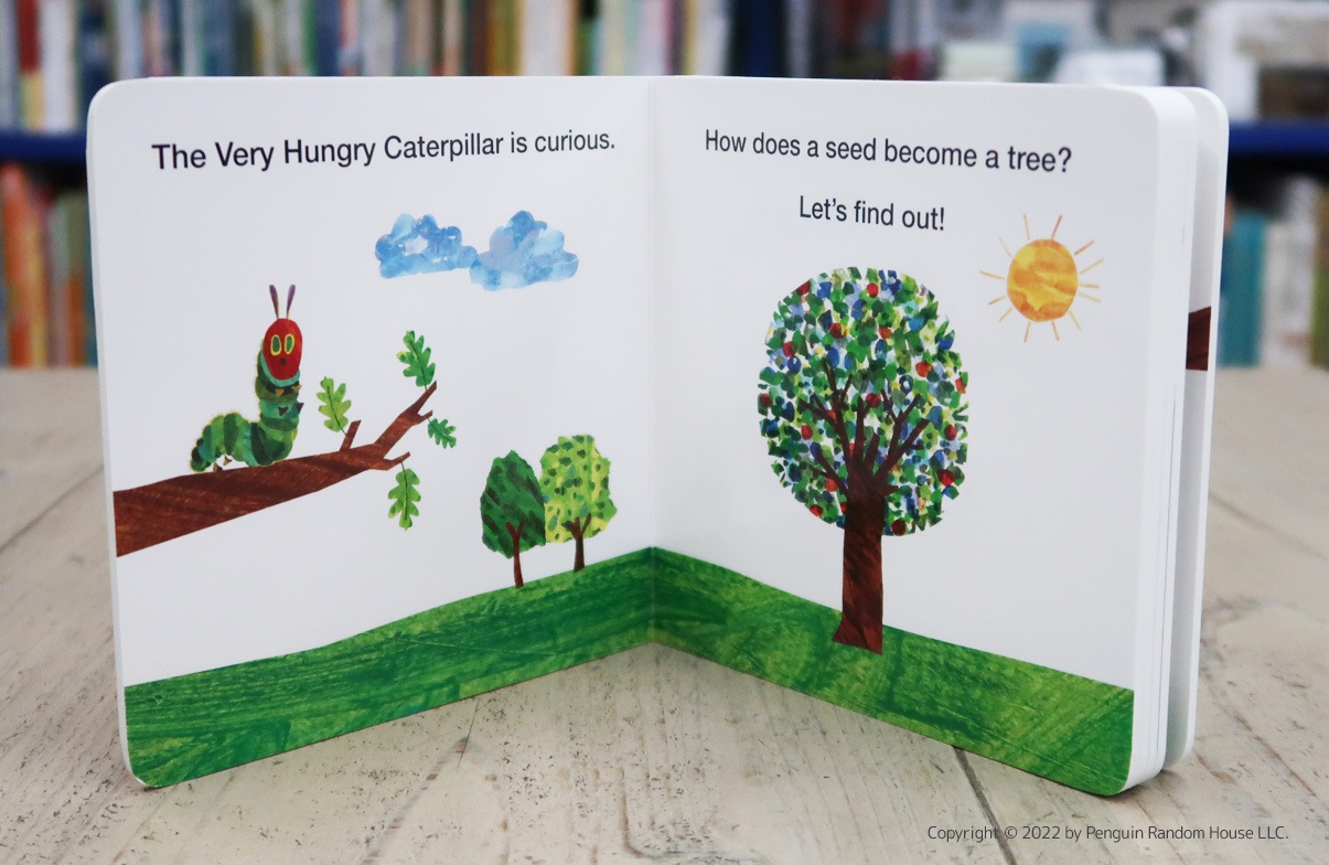 Life Cycle with Very Hungry Caterpillar: How Does a Seed Sprout?