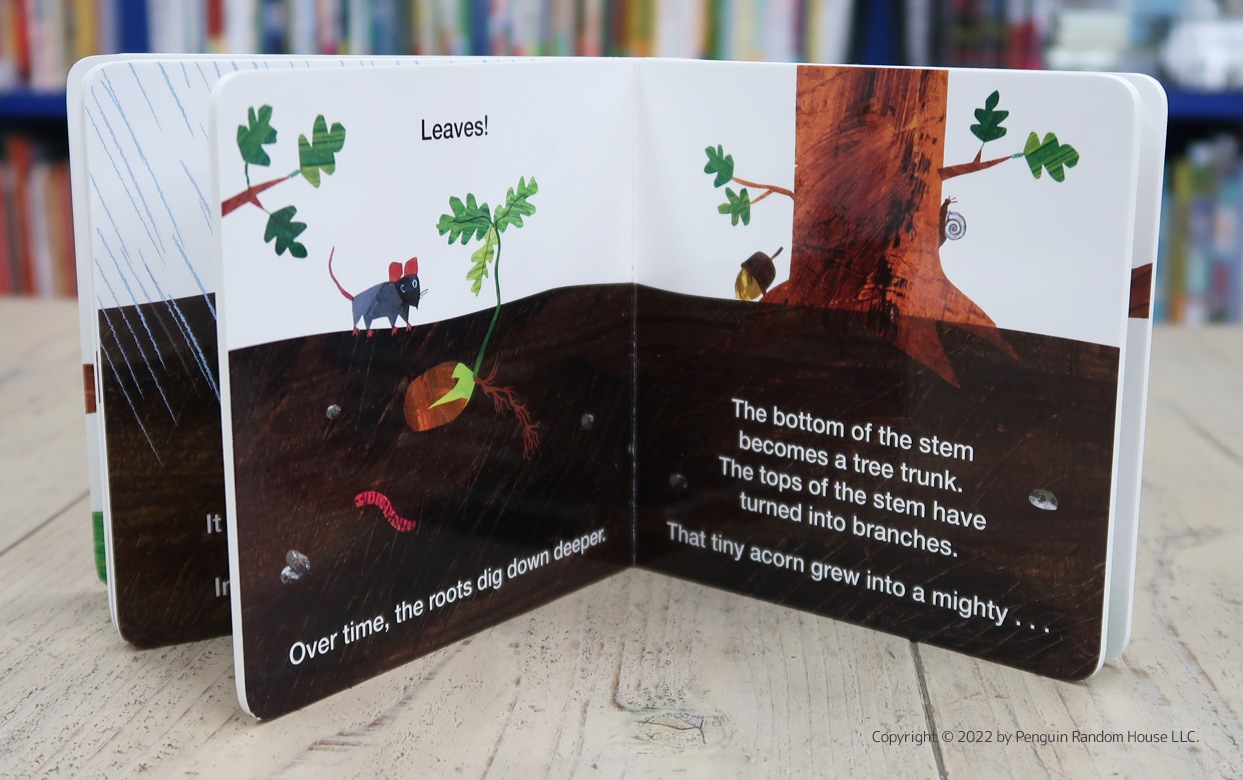 Life Cycle with Very Hungry Caterpillar: How Does a Seed Sprout?