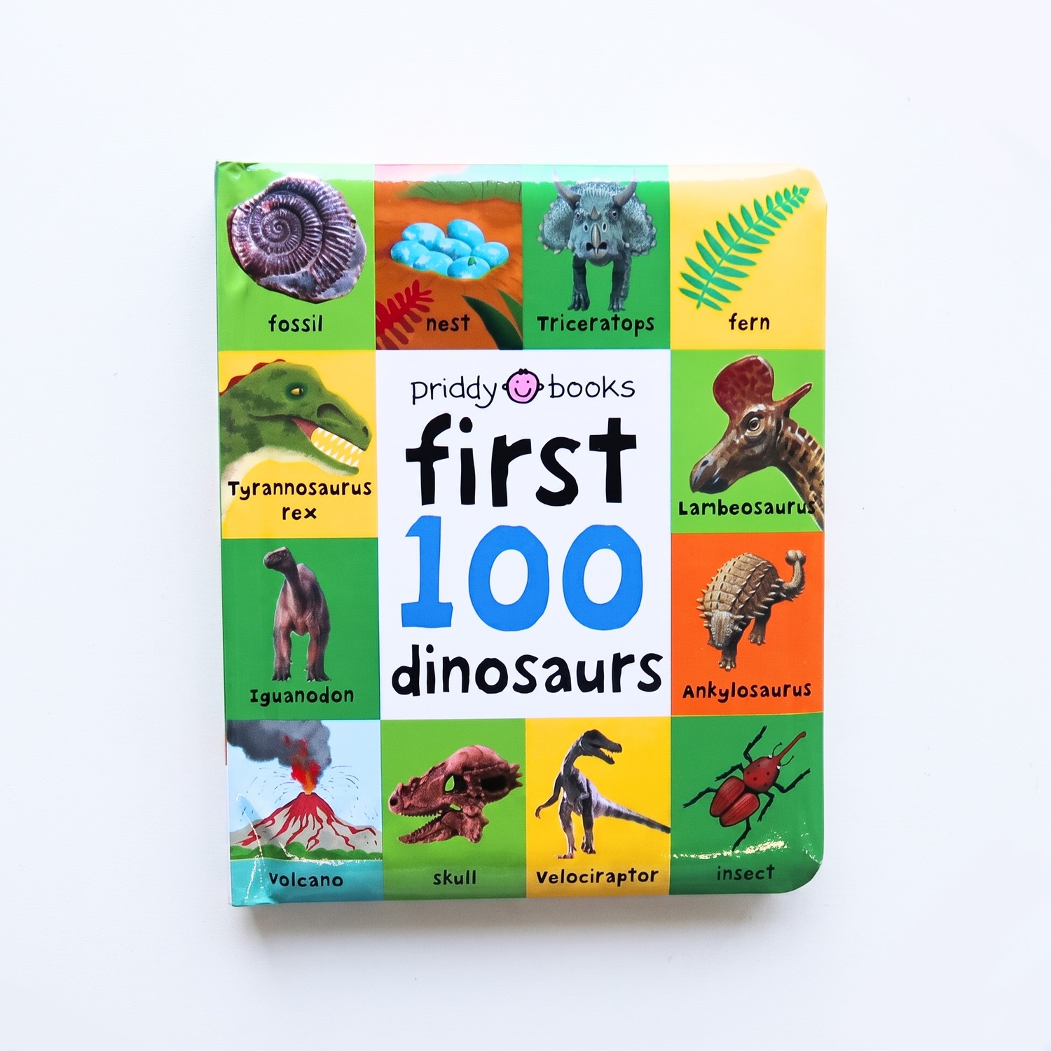 絵図鑑　First 100 Dinosaurs
