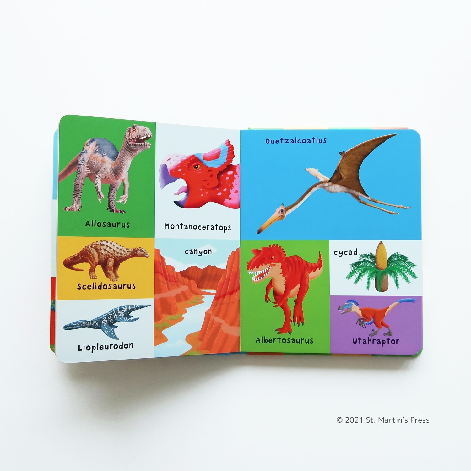 絵図鑑　First 100 Dinosaurs