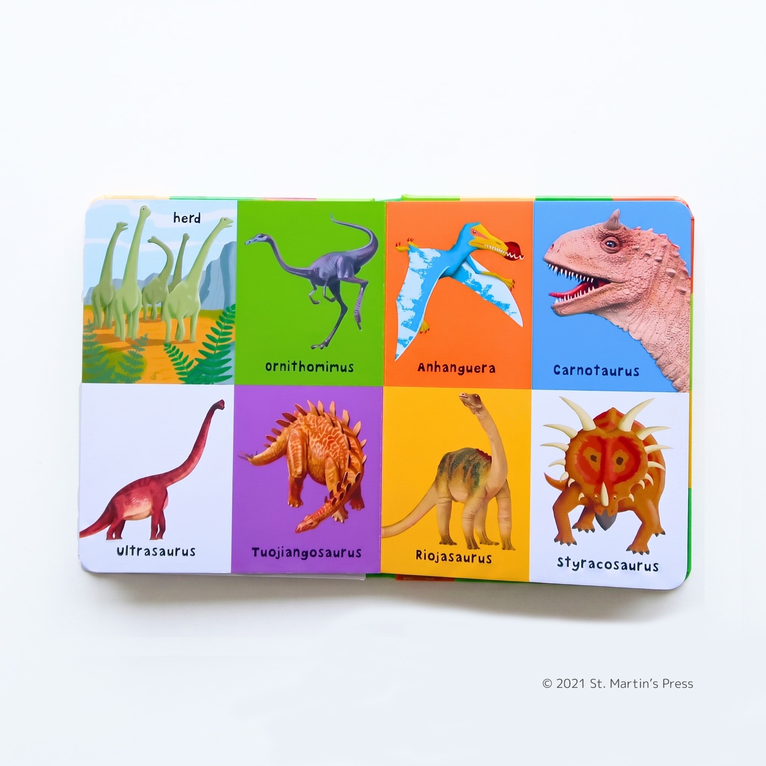 絵図鑑　First 100 Dinosaurs