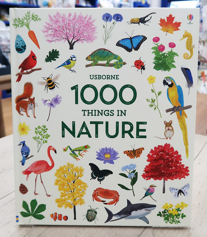 1000 絵辞典 Things in Nature | カテゴリーでさがす,英語学習・学校