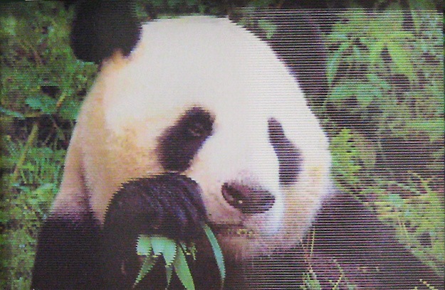 【感謝セール価格】 絵が動く！しかけ絵本　フォティキュラー　WILD